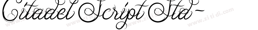 Citadel Script Std字体转换